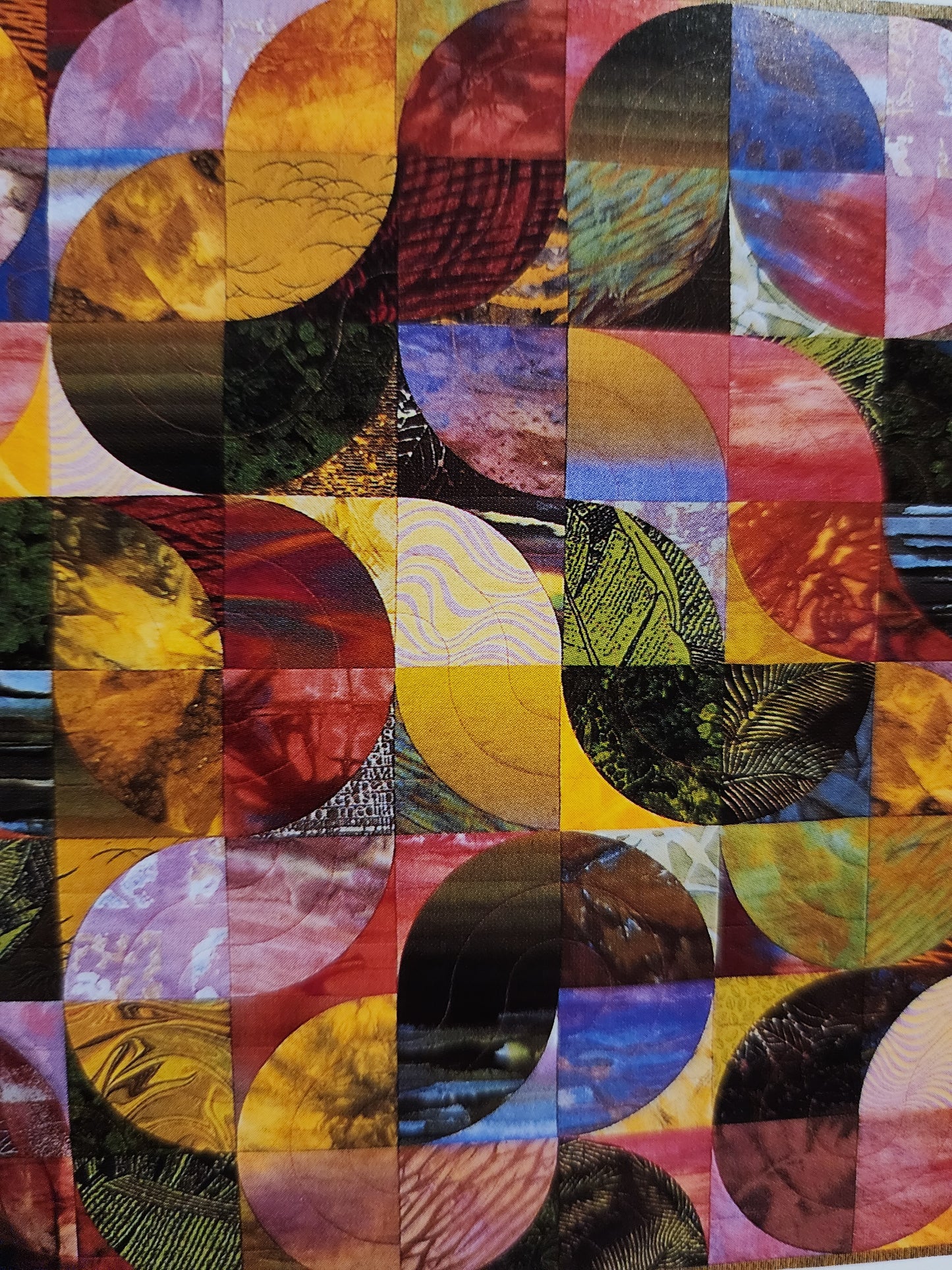 Contemporary Quilting by Cindy Walter and Stevii Graves