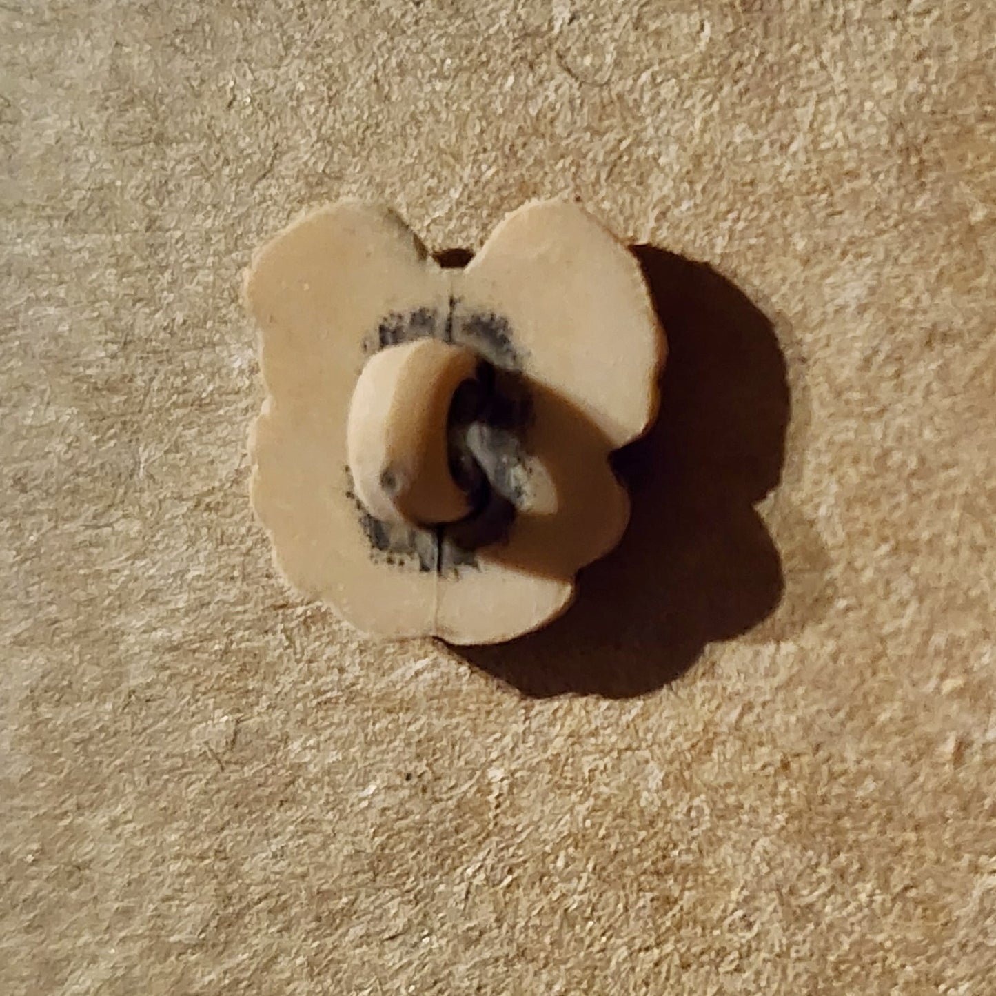 Dog Face Button Beige 1cm high