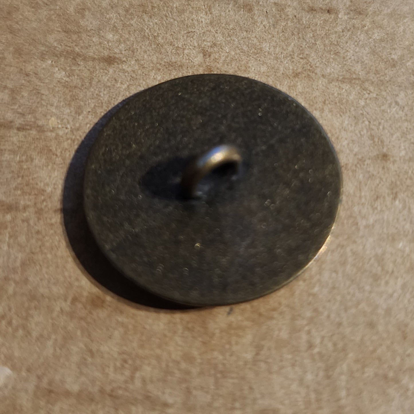 Brass Horse Head Round Button 20mm diameter