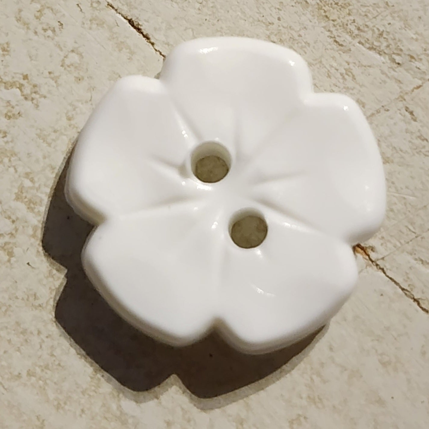 White zinnia flower button 1.5cm