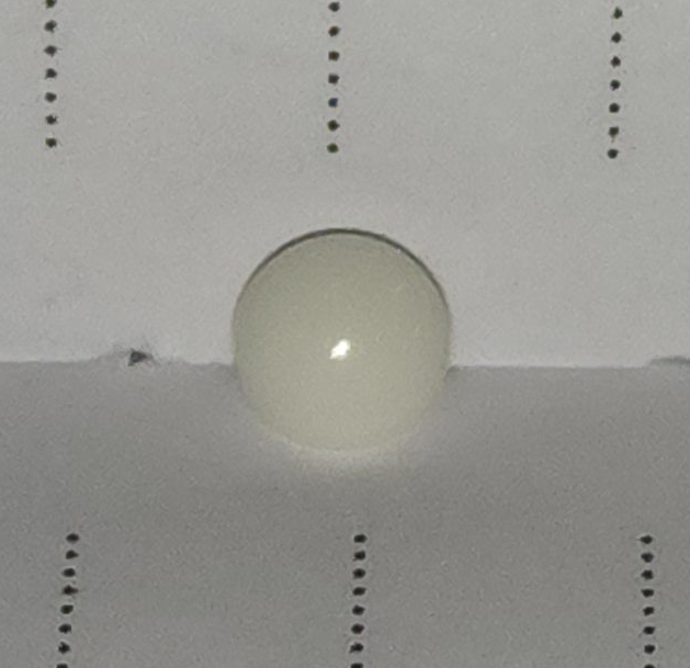 Dome button white 0.5cm (shank back)