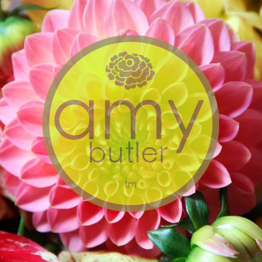 Amy Butler