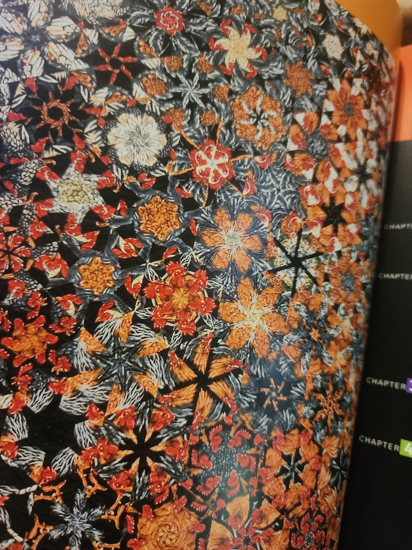 One Block Wonders by Maxine Rosenthal