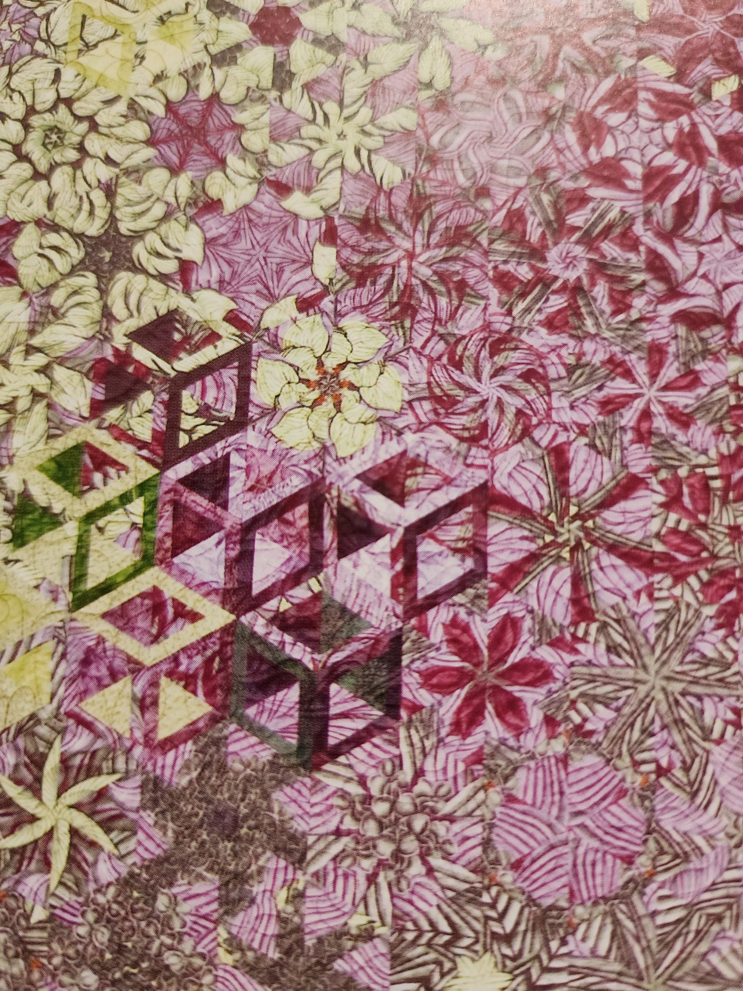 One Block Wonders by Maxine Rosenthal