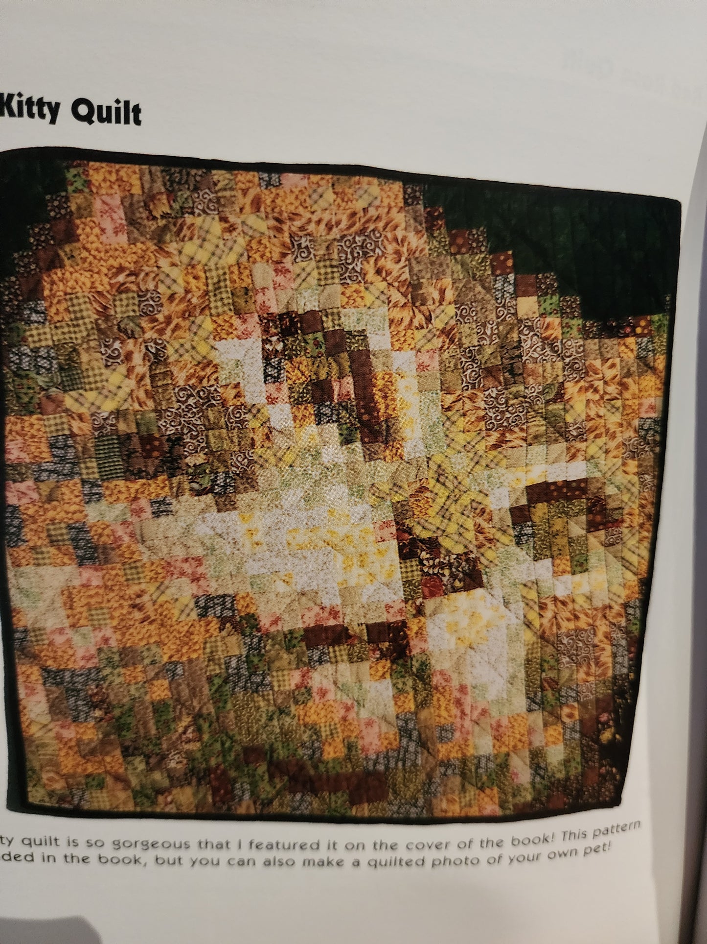 Simply Amazing Quilted Photography by Tammie Bonser