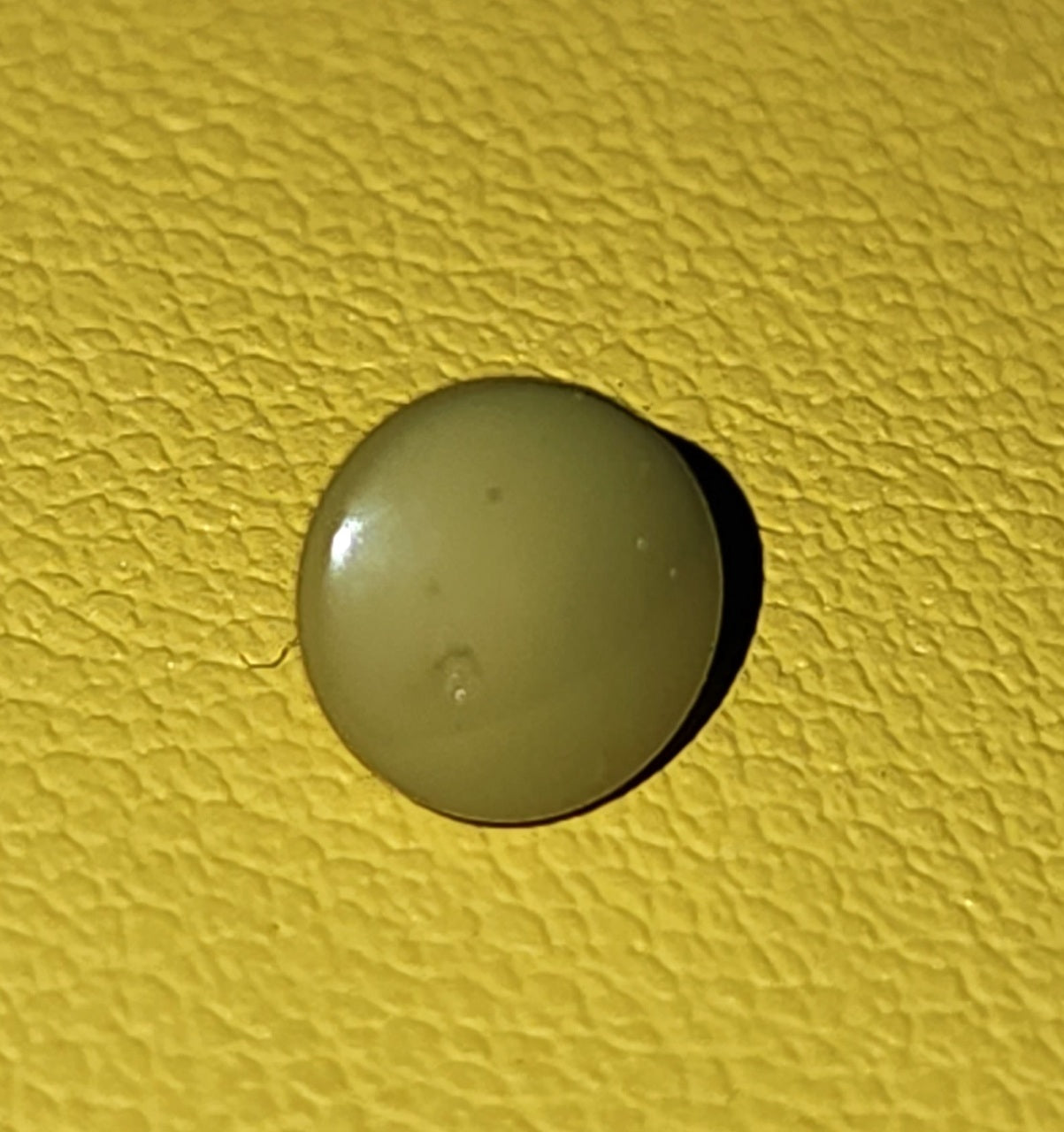 Dome button olive 0.5cm (shank back)