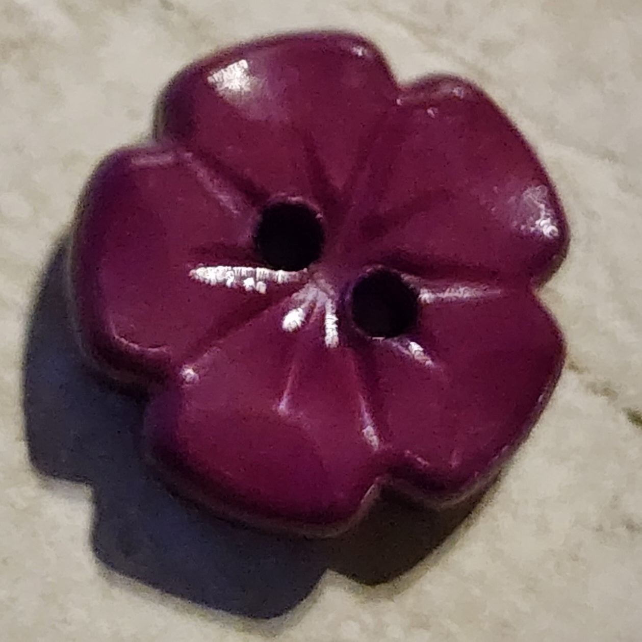 Wine zinnia flower button 1.5cm