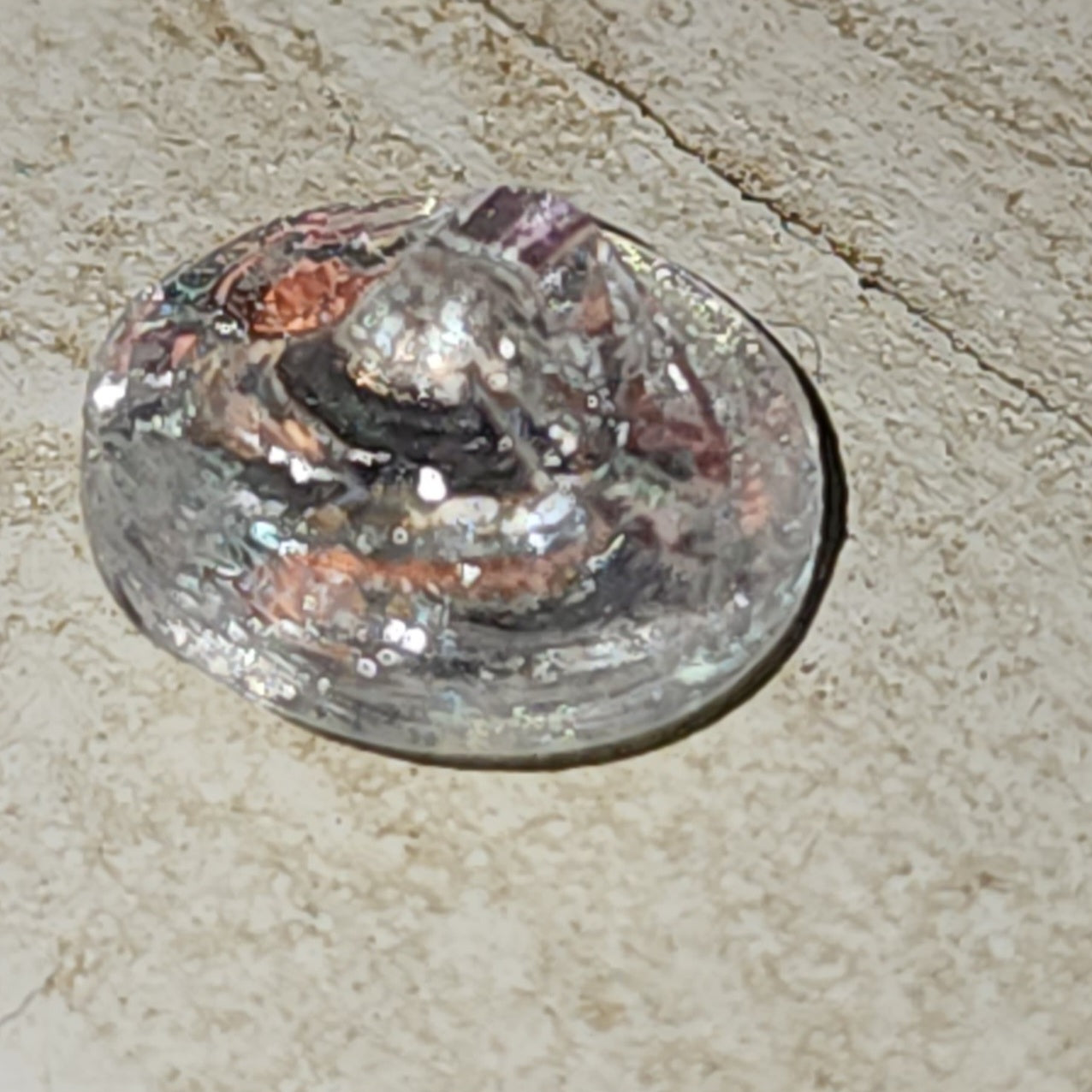 Pearlescent round button with leaf motif 10mm