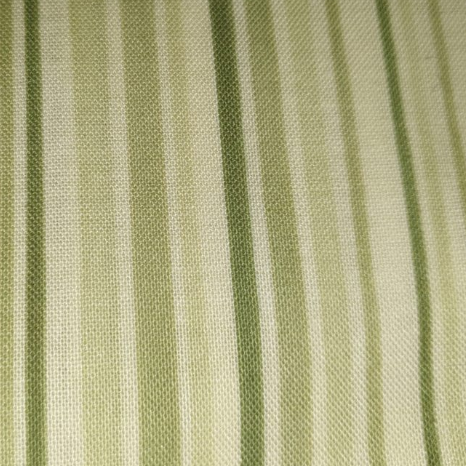 Timeless Treasures light green stripe ROSE-C2152