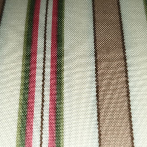 TICKING STRIPE TAN RED GREEN
