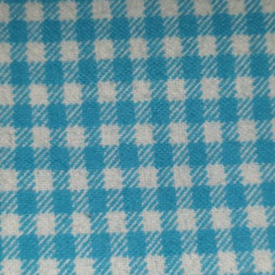Flannel in Aqua Blue Gingham Check *