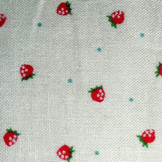 Lecien mini strawberries by Minny Muu 3686