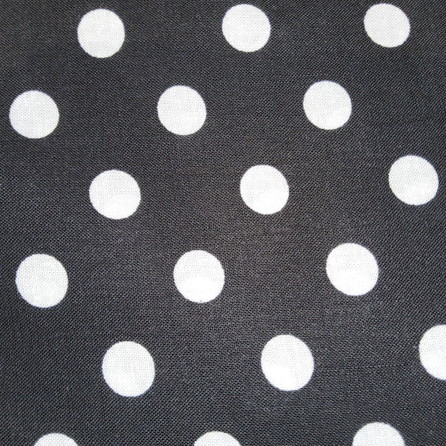 Michael Miller - That's It Dot - White on Black C-2489