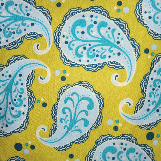 Michael Miller - Sandi Henderson - Playful Paisley - Spring SH-3747