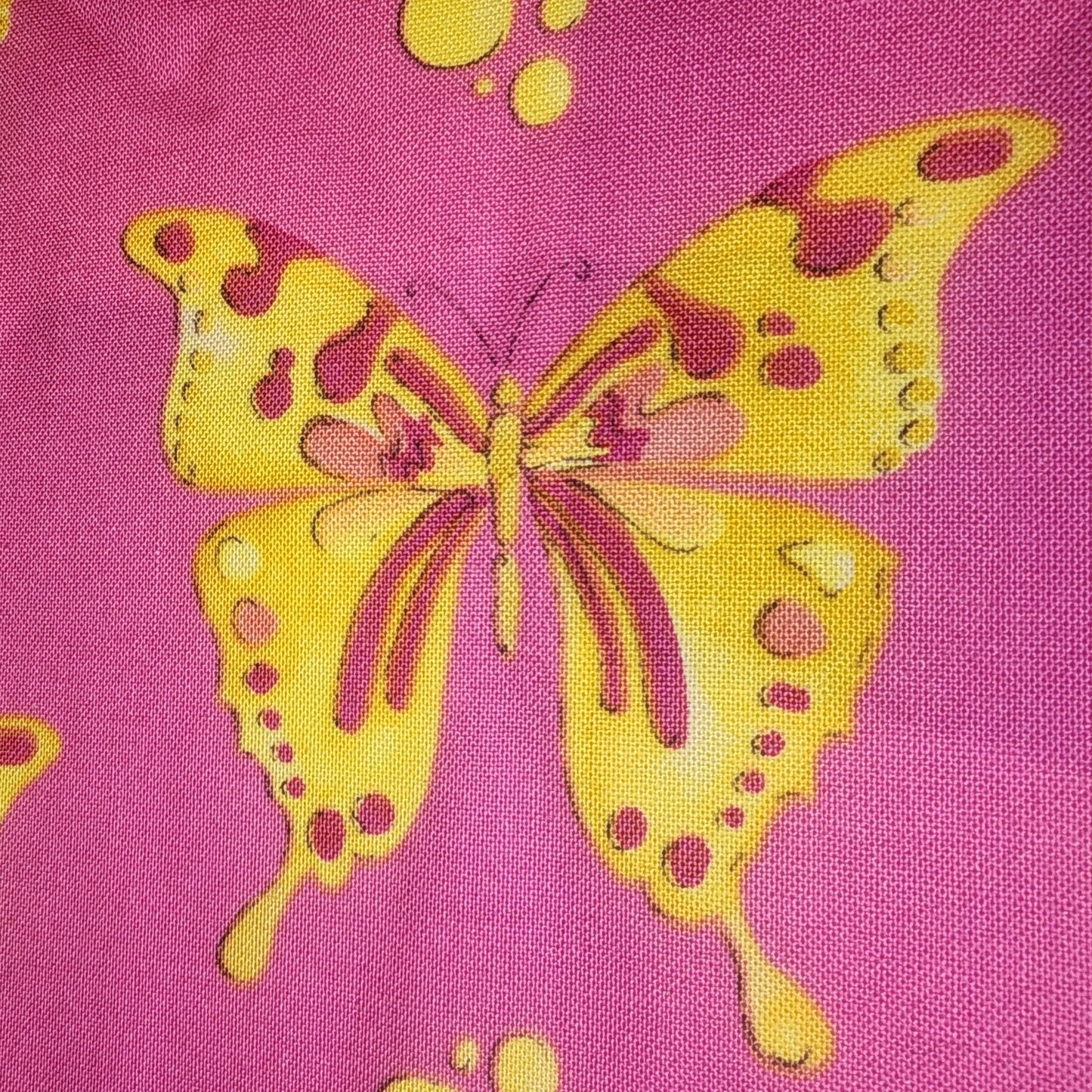 Tina Givens Butterfly TG13 Pink yellow
