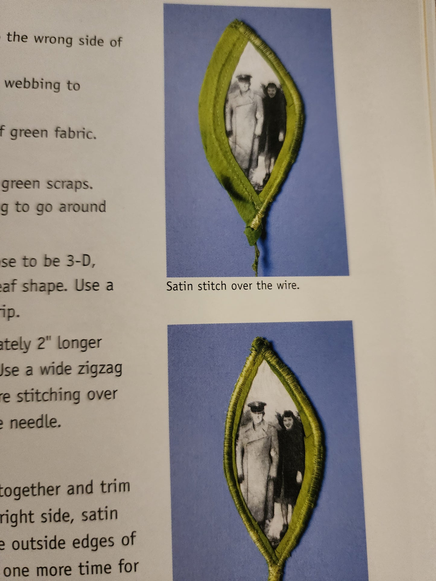 Photo Fun Book edited by Cyndy Lyle Rymer (a HP book)