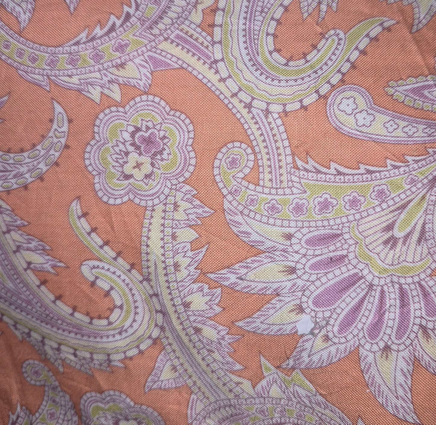 Amy Butler - Gypsy Caravan - Orange Paisley (58cm)