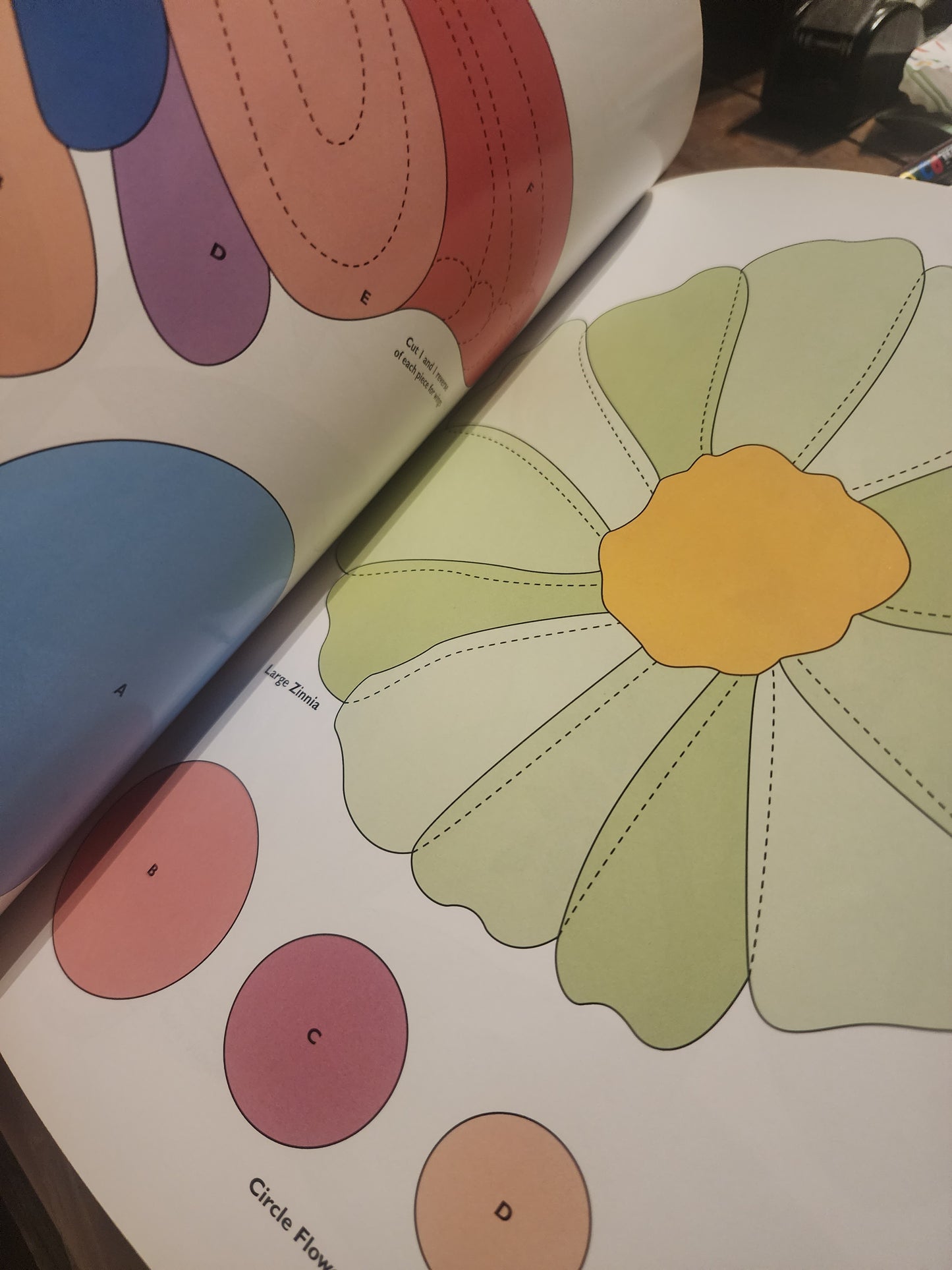 Portraits from Nature by Jean Wells