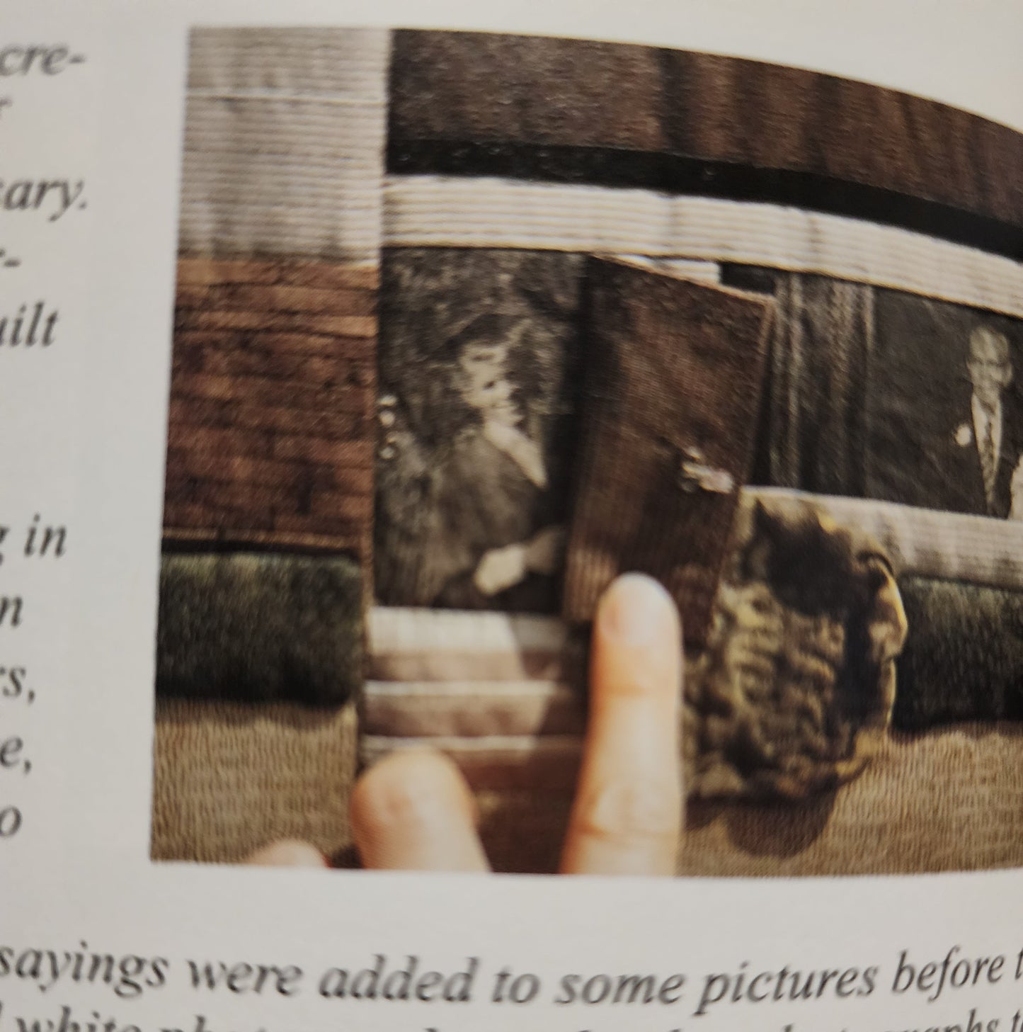 Fun Photo Quilts And Crafts Book by Ami Simms