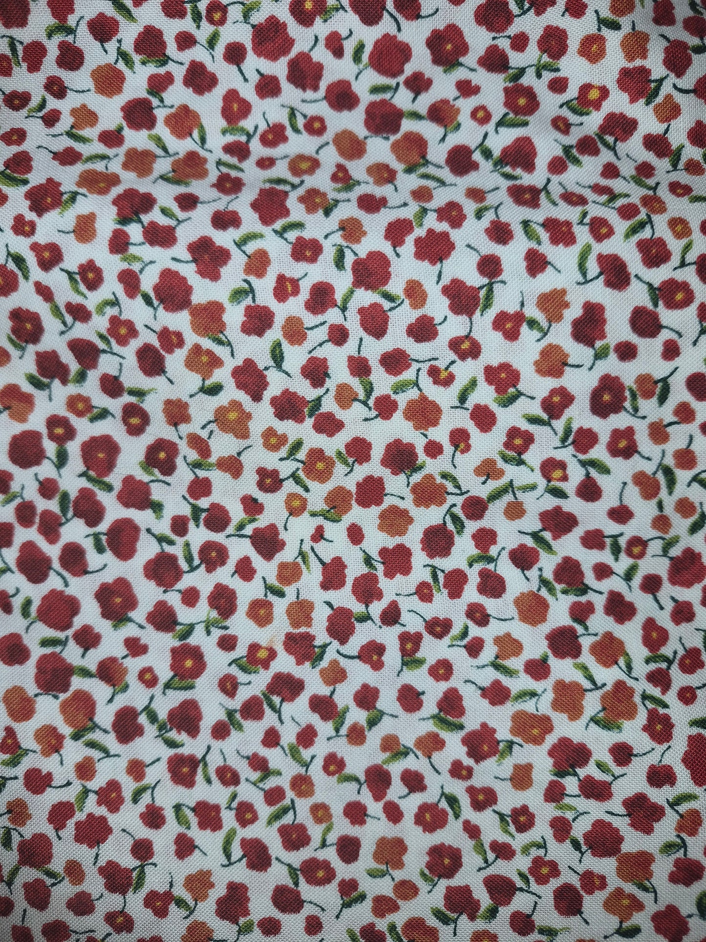 SunnyDay by RJR Fabrics (Sunny Day) 4941 White Red