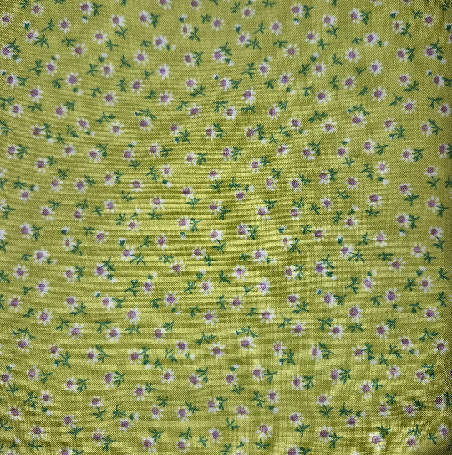 Sevenberry Daisy Green 56114 (petite garden buds)