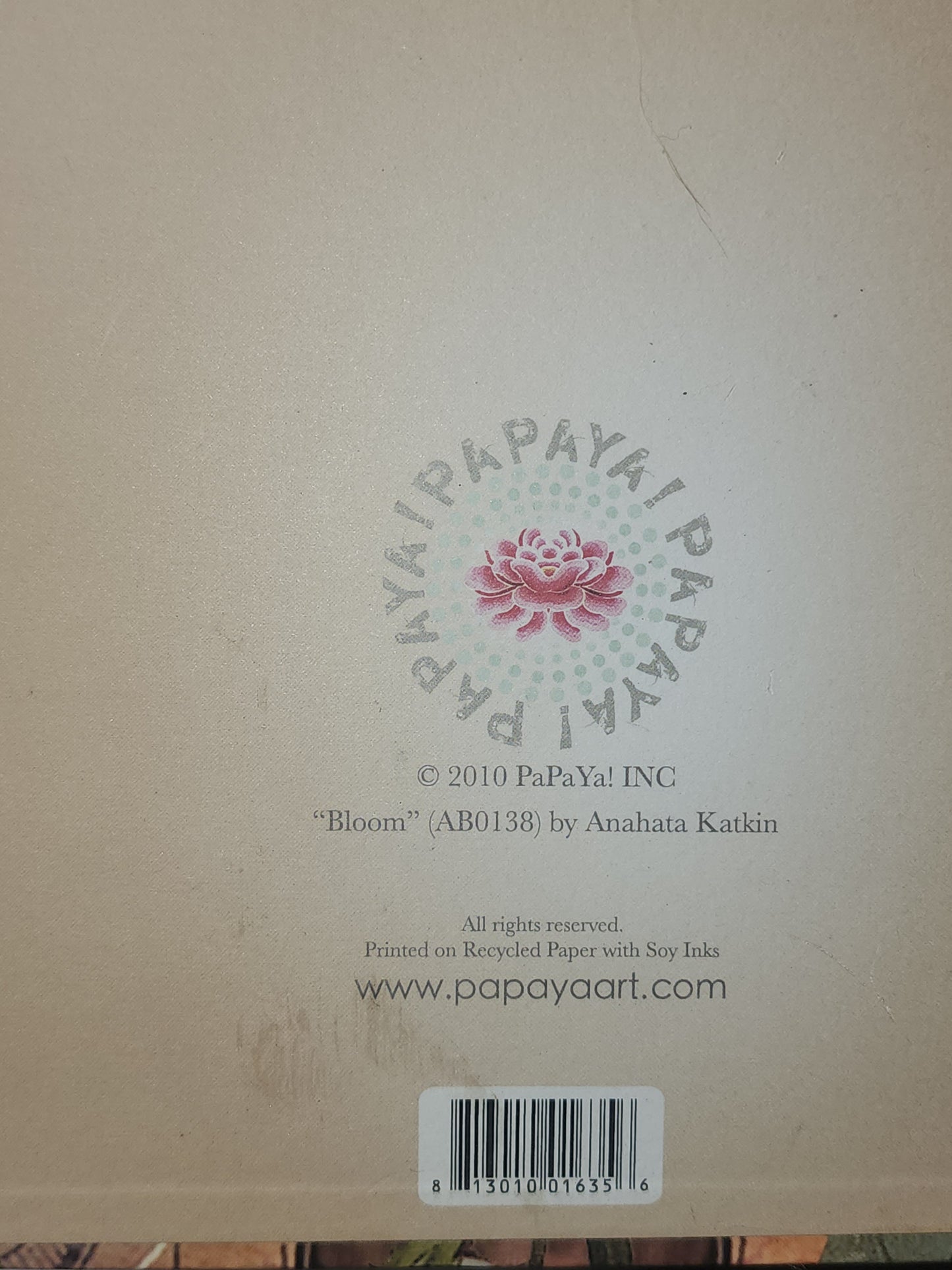 Papaya Rose Print 11.5" x 16" on board with ribbon hanging loop
